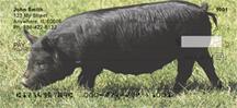 Black Pigs
