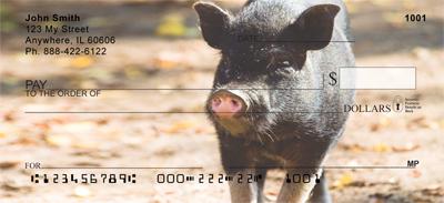 Black Pigs