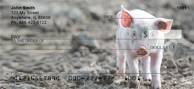 Muddy Pigs