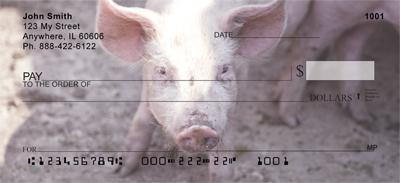 Muddy Pigs