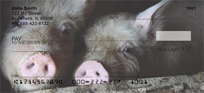 Shy Pigs