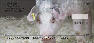 Shy Pigs
