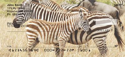 Safari II