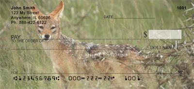 Safari III
