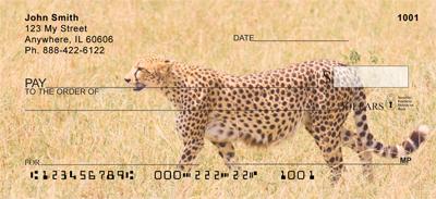Safari IV