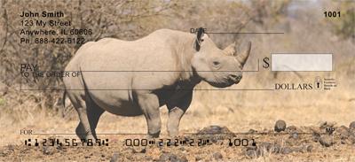 Safari IV