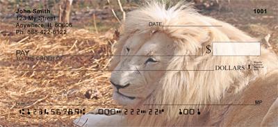 Safari IV