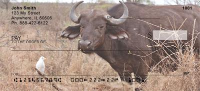 Safari IV
