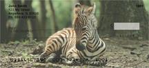 Baby Safari