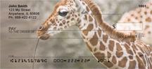 Baby Safari