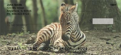 Baby Safari