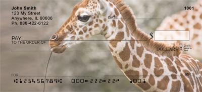 Baby Safari
