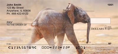Baby Safari