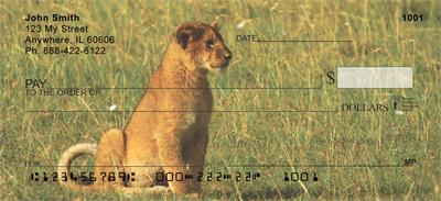 Baby Safari