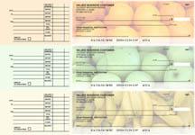 Fruit Accounts Payable Designer Business Checks