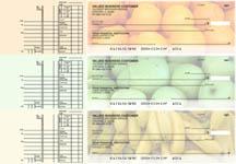 Fruit Multi Purpose Designer Business Checks