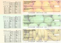 Fruit Payroll Designer Business Checks