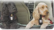 Cocker Spaniel Friends