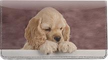 Cocker Spaniel Puppy