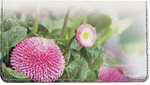 English Daisy Bell