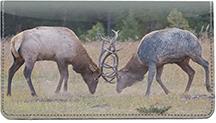 Fighting Elk