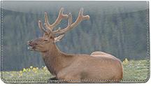 Resting Elk