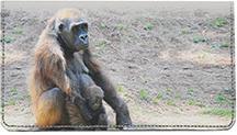 Gorilla Mother And Child