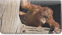 Baby Orangutan Leather Checkbook Cover