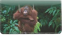 Orangutan In The Trees