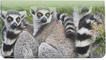 Ring-tailed Lemur Family