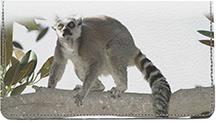 Perching Lemurs