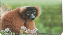 Red Ruffed Lemur