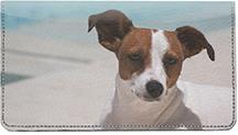 Cute Jack Russells
