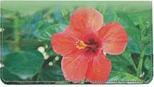 Red Hibiscus