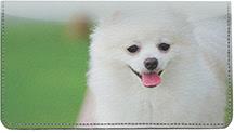 White Pomeranians