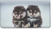 Pom Puppies