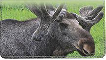 Swedish Moose