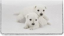 Westie Puppies