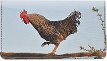 Crowing Roosters