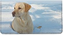 Yellow Labs In The Snow