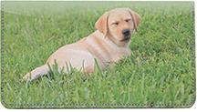 Yellow Labrador Puppies