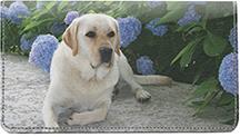 Playful Yellow Labs