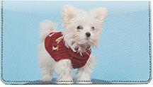 Cute Maltese