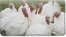 White Turkeys