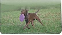 Playful Chocolate Labs