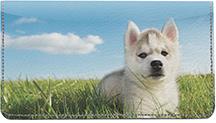 Husky Puppies