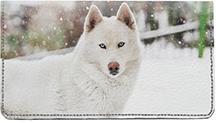 Huskies In The Snow