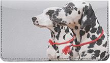 Picture Perfect Dalmatians