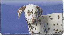 Dalmatian Pup