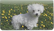 Bichon Frises Outdoors